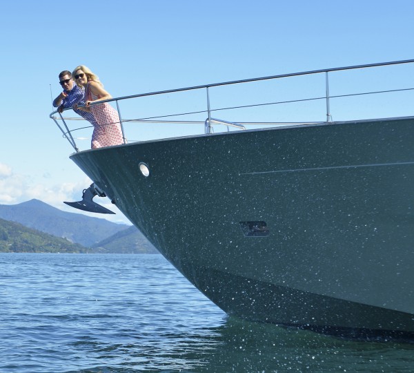 Tarquin Dolphins - Photo Richard Briggs