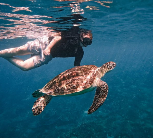 Underwater Preview
