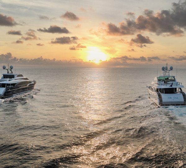 Wild Duck And The Legion Cruising