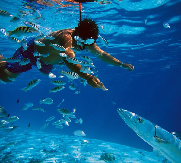 Yacht Amandine - Jeanneau 64 Snorkeling Baracuda