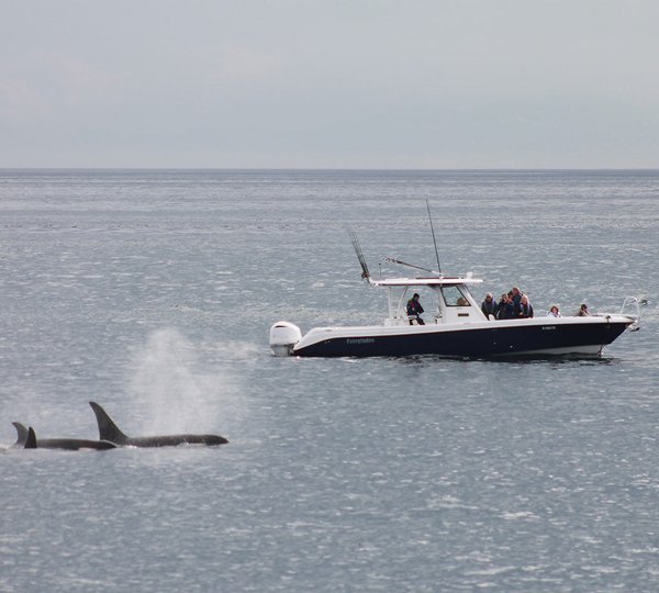 Yacht Charter Vacation In Alaska 