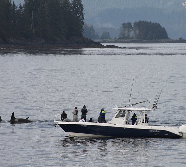 Yacht Charter Vacation In Alaska 