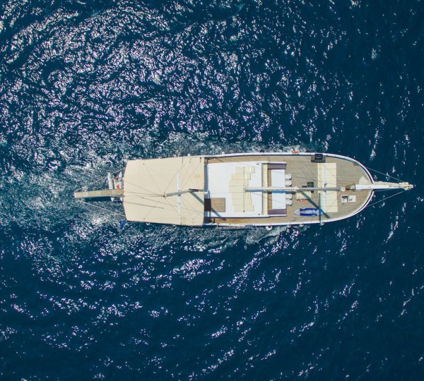 Aerial View From Above