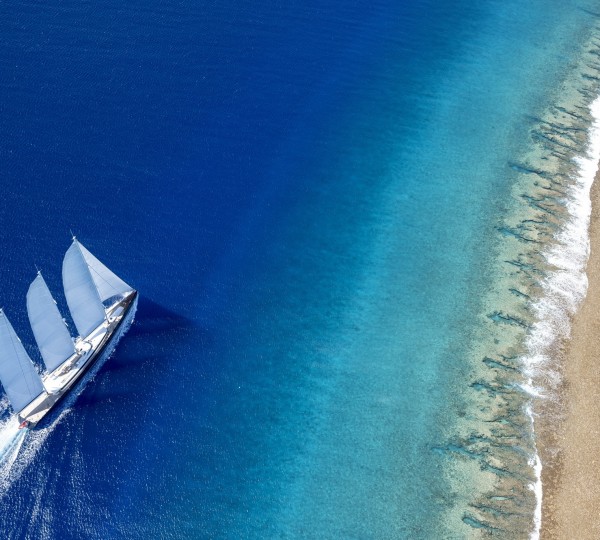 Aerial View Of Sea Eagle - Photo By Tim McKenna