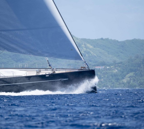 Bow - Photo By Tim McKenna