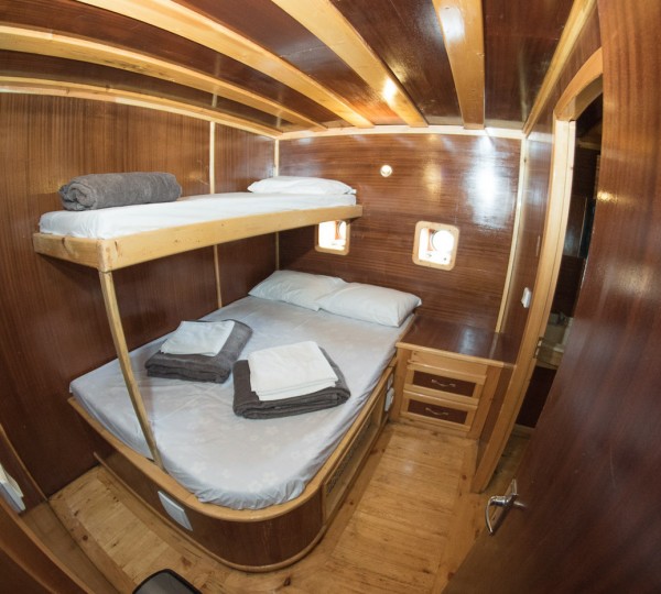 Bunk Guest Cabin