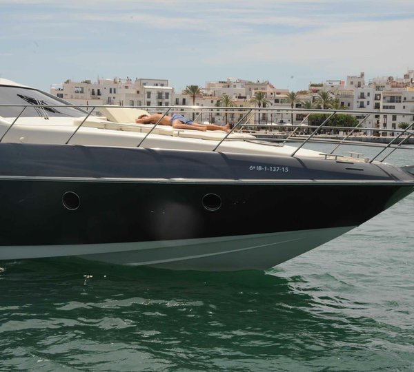 Close Up Of The Profile