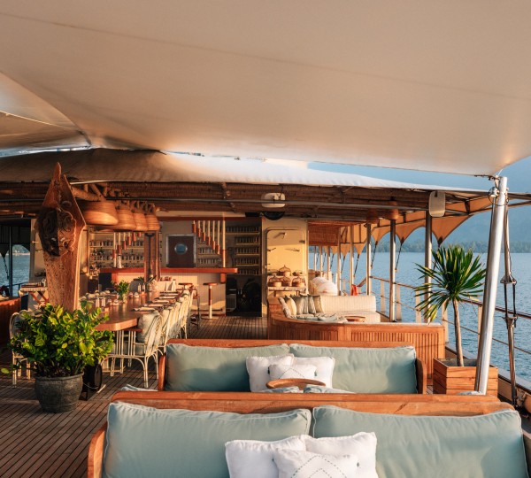 Deck - Kudanil - Jack Johns