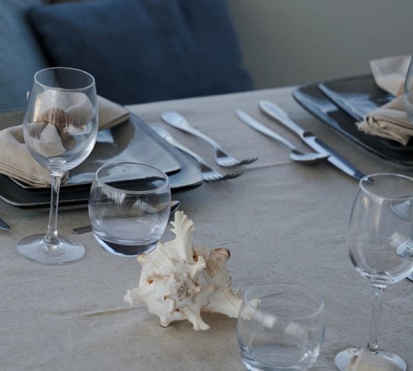 Dining Table Setting 01