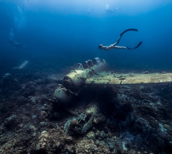 Diving With Black Pearl