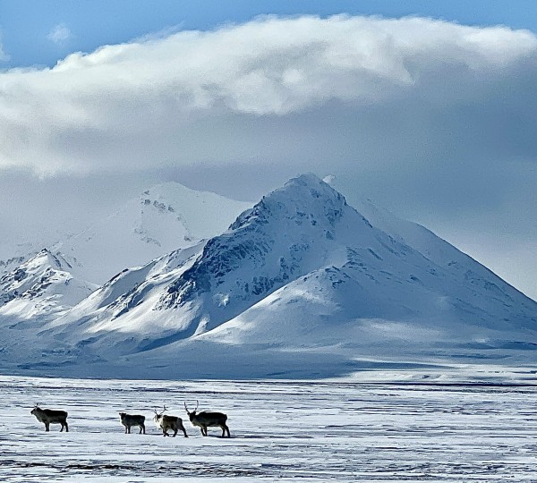 Expedition Voyage With Superyacht