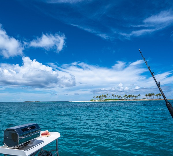 Fishing And Barbecue