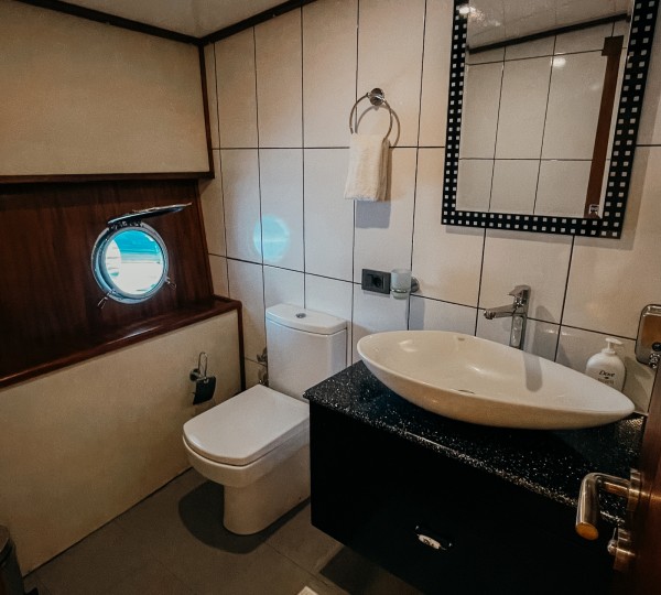 Guest Suite Bathroom