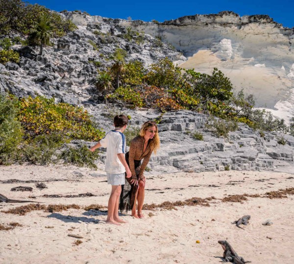 Iguana Excursion On A Beach