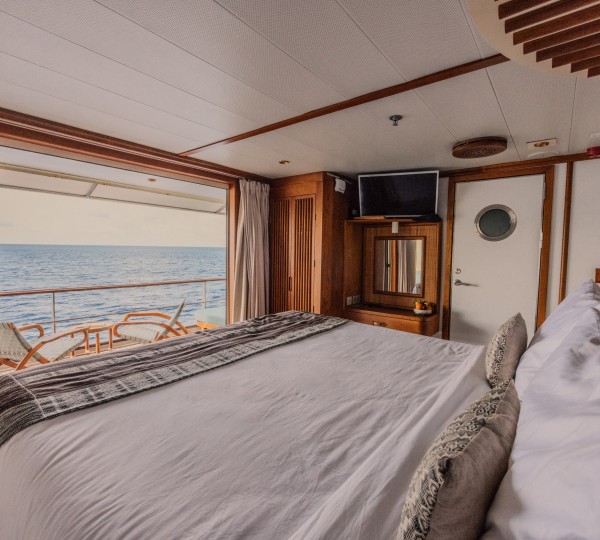 Luxury Cabin - Kudanil - Jack Johns