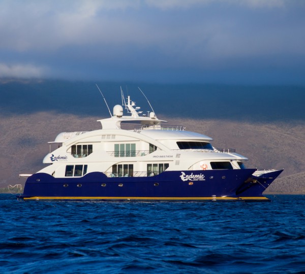 Luxury Catamaran ENDEMIC