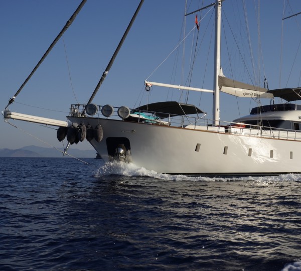 Queen Of Makri Bow Close Up