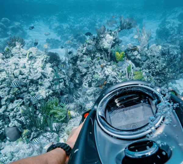 Seabob Reef
