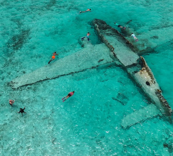 Snorkelling Diving And Having Fun