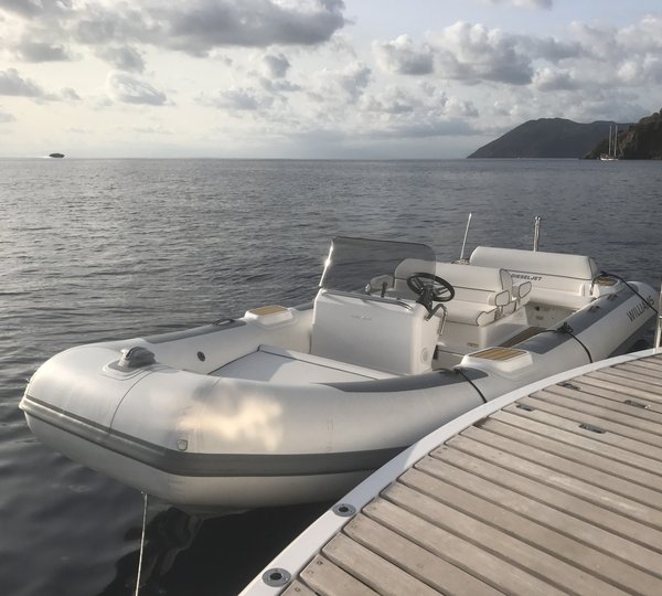 Swim Platform And Tender