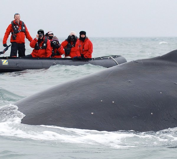 The 48m Yacht HANSE EXPLORER