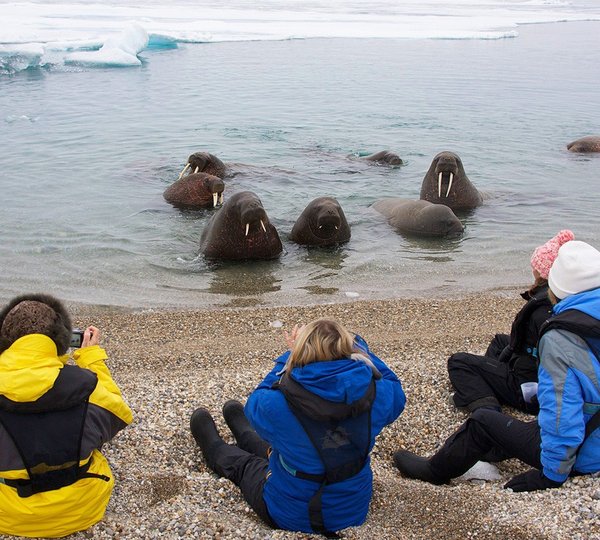 The 48m Yacht HANSE EXPLORER