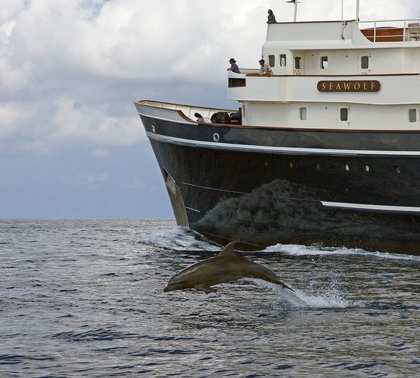 Detail Profile Aspect On Board Yacht SEAWOLF