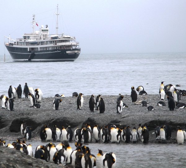 Charter Sherkhan In Remote Destinations
