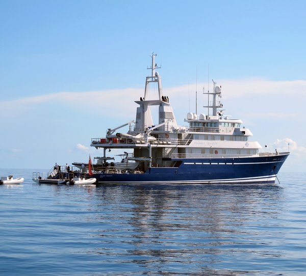 GOLDEN SHADOW And Tenders