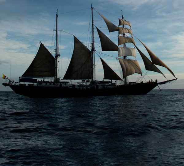 MARY ANNE II Profile