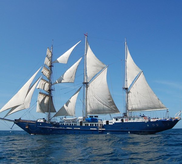 Profile MARY ANNE II