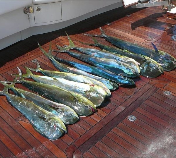 The 40m Yacht MEA CULPA