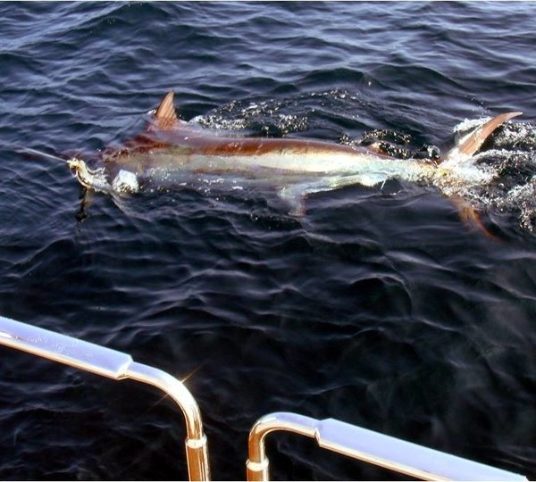 The 40m Yacht MEA CULPA