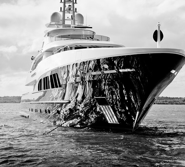 BLIND DATE Bow Profile