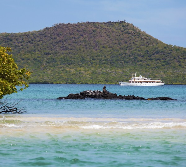 Grace Baroness Point