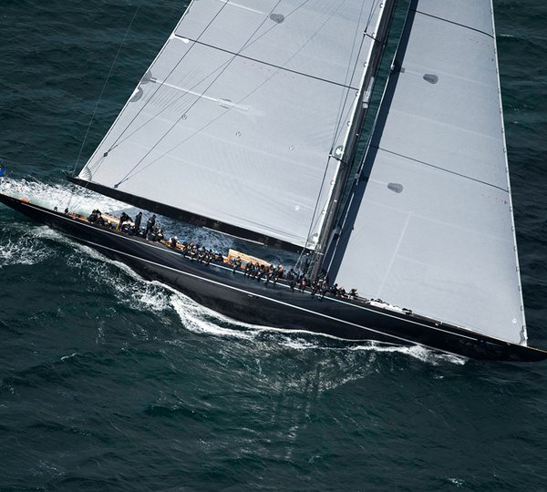 Lionheart-Nigel_Pert1