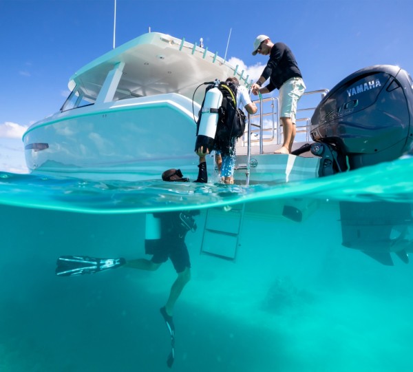 Playzone Area With Water Toys