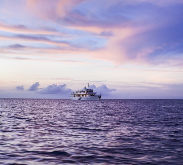 Yacht Grace At Sunset
