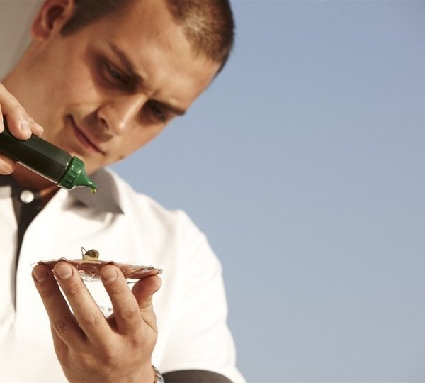 Gastronomy On Yacht E &AMP; E