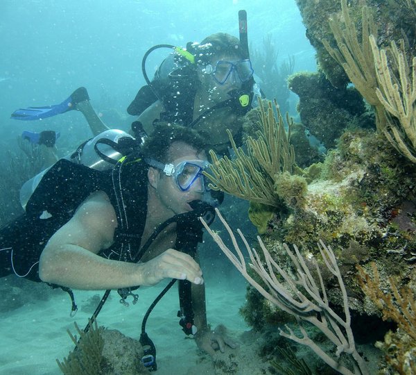 Under Water Scuba Dive Aboard Yacht HARLE