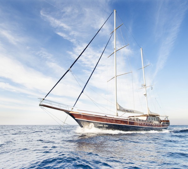 COBRA KING Superyacht