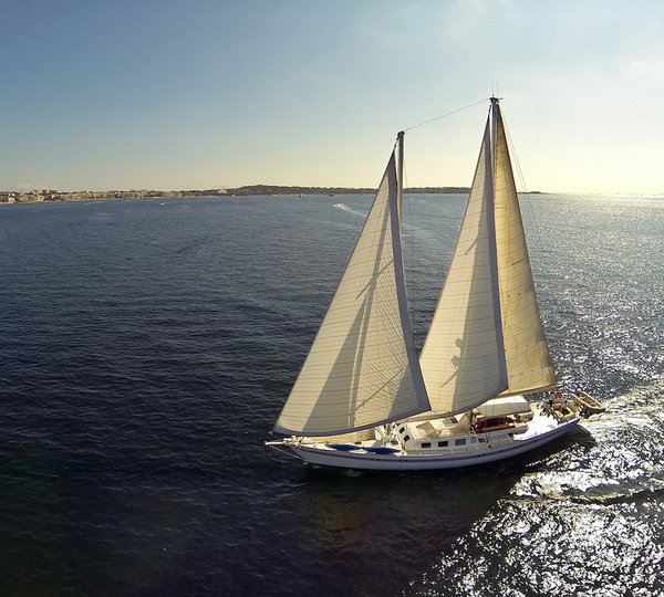 DAME DES TROPIQUES Exterior