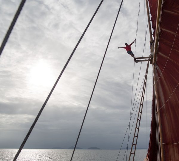 Luxury Phinisi Tiger Blue  