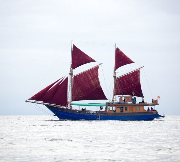 Luxury Phinisi Tiger Blue  