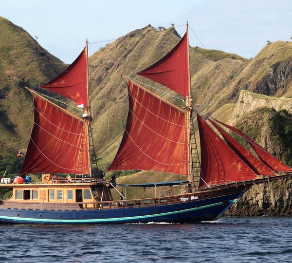 Tiger Yacht Indonesia