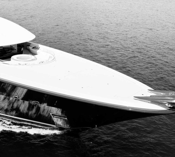 Phoenix Running Detail