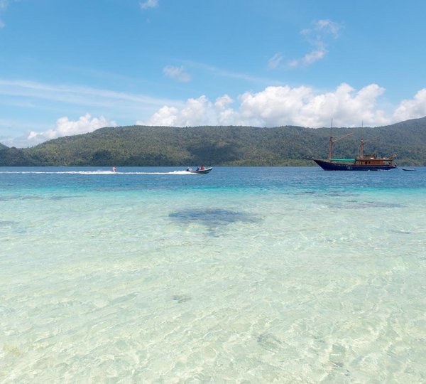 Tiger Blue Crew And Activities