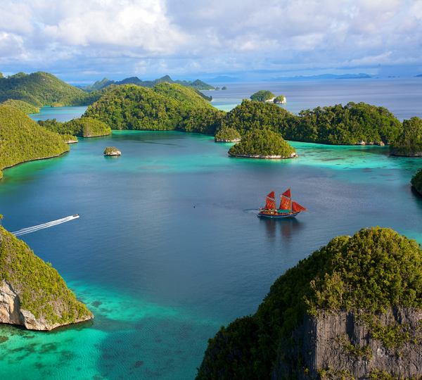 Tiger Blue In Indonesia 