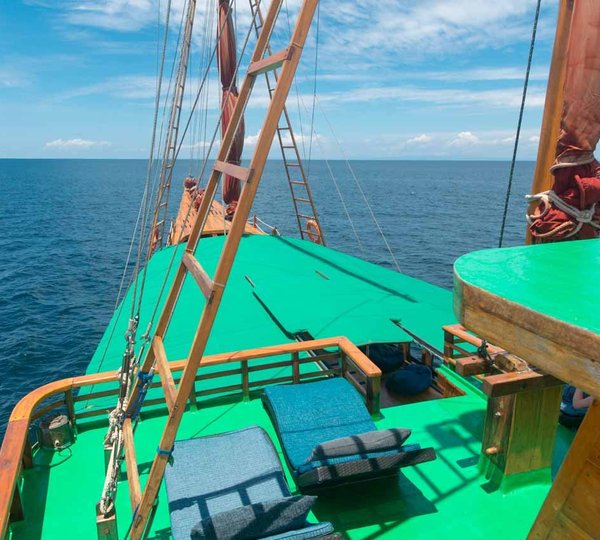 Tiger Blue Life Onboard