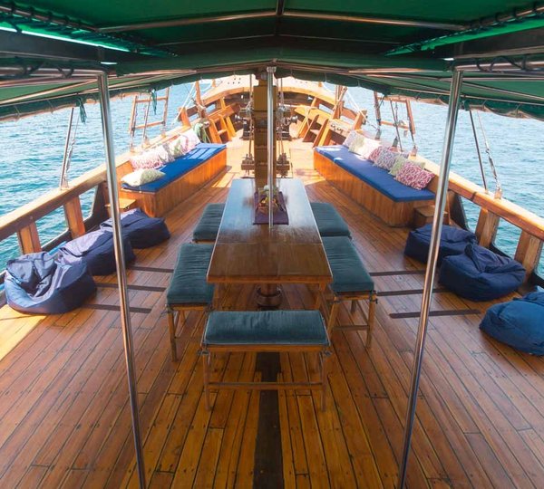 Tiger Blue Life Onboard